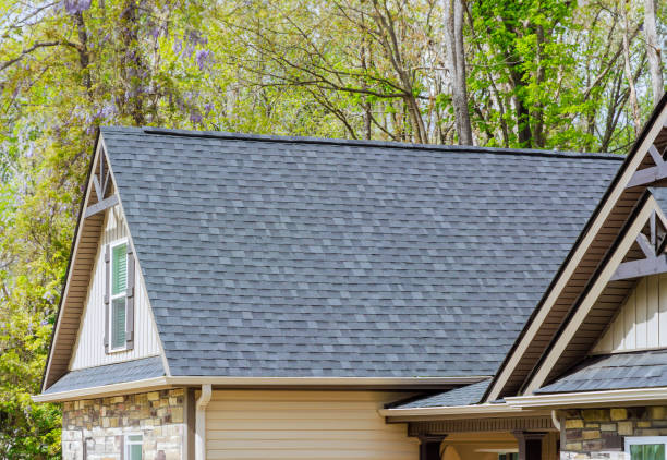 Best Gutter Installation and Repair  in Sergeant Bluff, IA